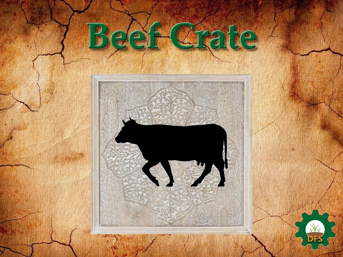 DFS Texture Beef Crate