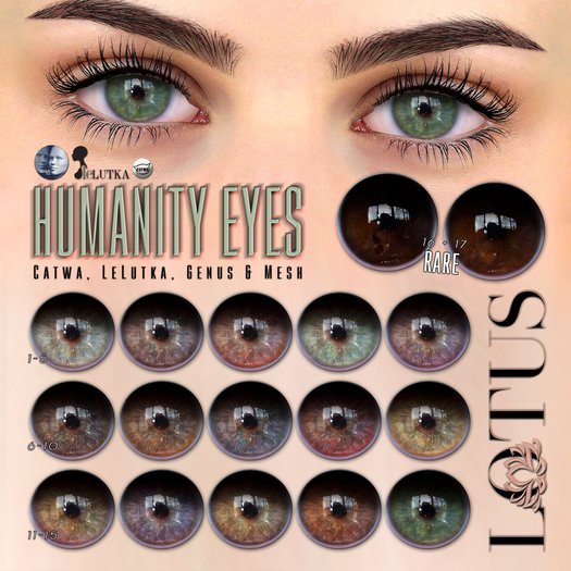 LOTUS. Humanity Eyes 03 BOX