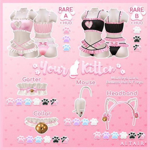 ALTAIR* kitten collar .diva.