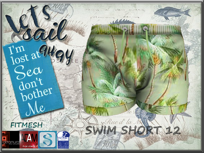 BEACH SHORT 12