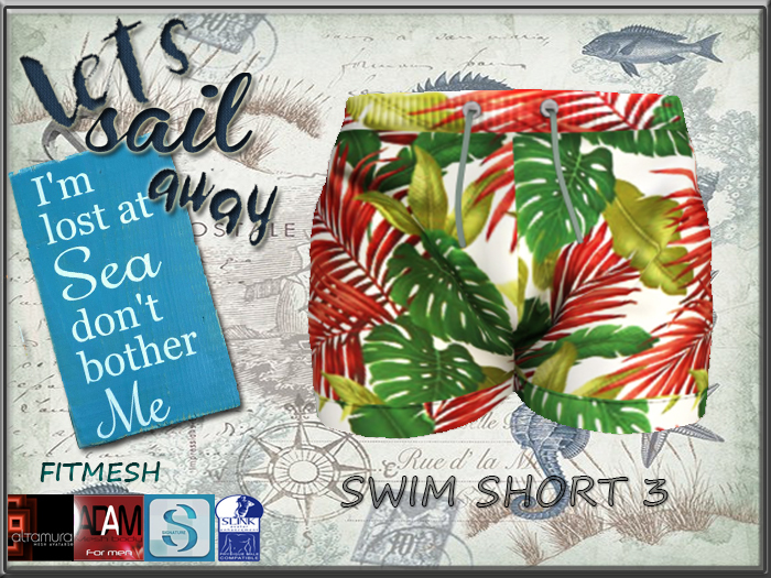 BEACH SHORT 3