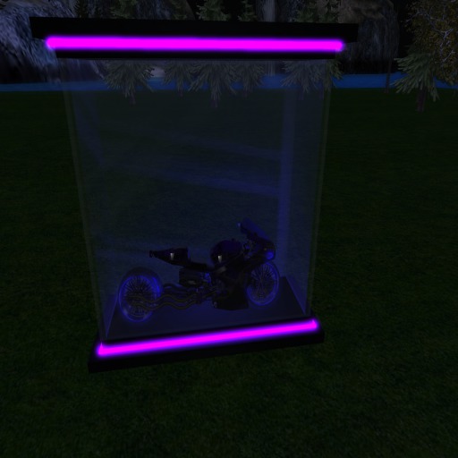 Bike Display Purple Neon