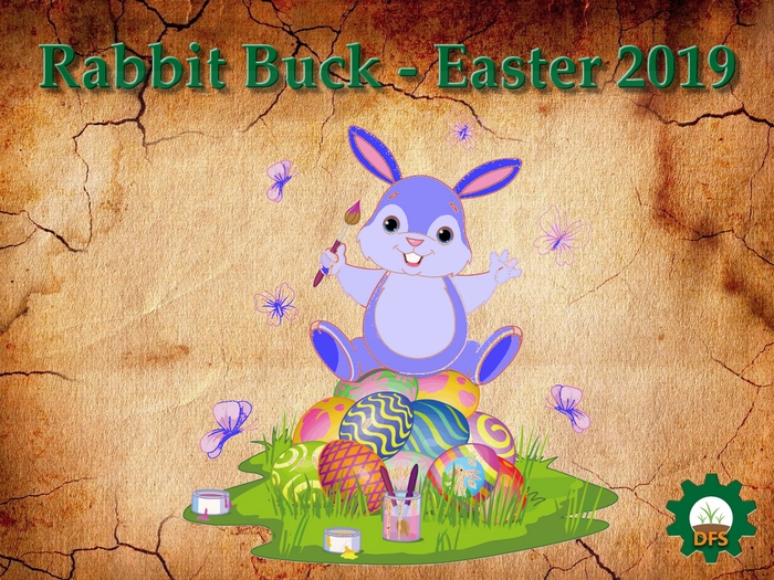 DFS texture rabbit buck - easter 2019