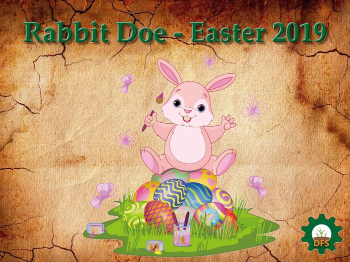 DFS Texture Rabbit Doe - Easter 2019