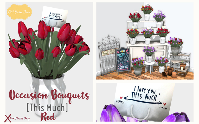 {OBD} Tulip Bouquet - This Much [Red] [BOXED]