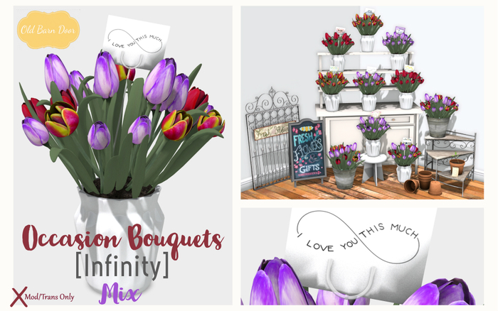 {OBD} Tulip Bouquet - Infinity [Mix] [BOXED]