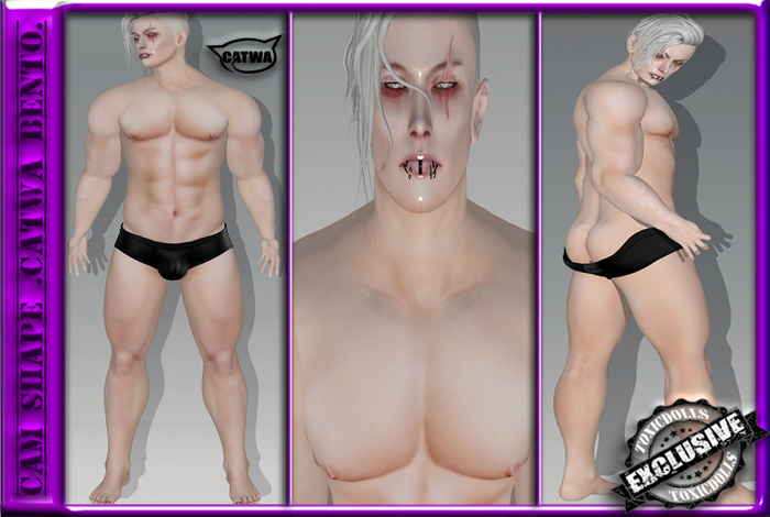 [TD] Cam Shape [CATWA-BENTO]