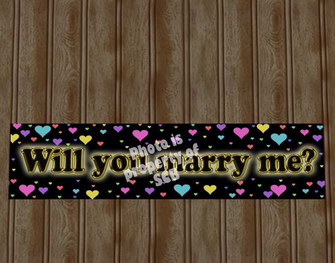 SCB_Will You Marry Me banner (full bright)