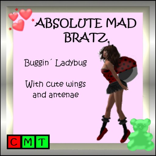 Buggin Ladybug