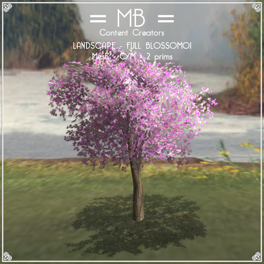 = MB = BOX LANDSCAPE - FULL BLOSSOM01