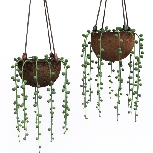 T-Spot Mesh - String of Pearls Plants - Full Perm - LI=0.5-0.6