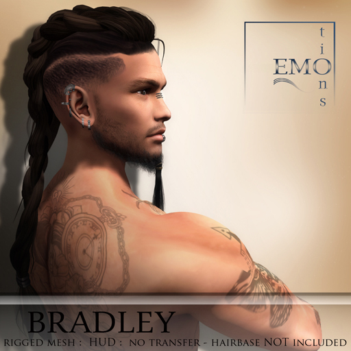 .:EMO-tions.. *BRADLEY* - FATPACK