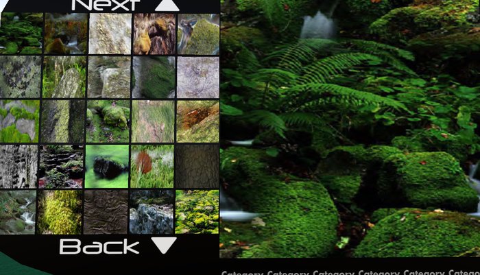 CST Mossy Rock 