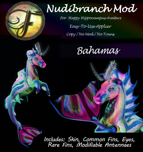 Folly - Hippocampus Mod - Nudibranch Bahamas