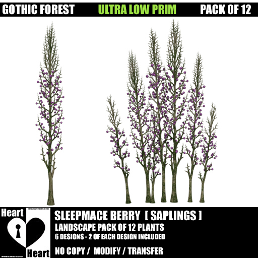 Flowers - Gothic - Sleepmace Berry - LP-P12