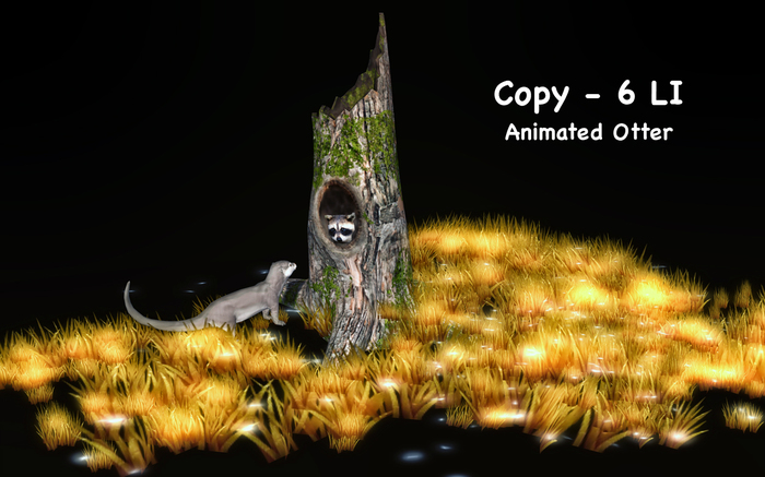 DiMi's Bag - The Otter and Raccoon