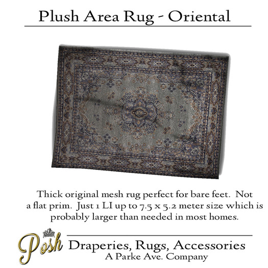 [Posh] Oriental Area Rug
