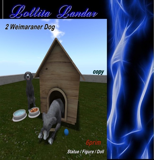 2 Weimaraner Dog   ( MP )
