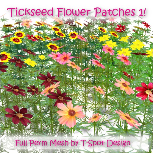 T-Spot Mesh Coreopsis "Tickseed" - Full Perm - LI=0.5