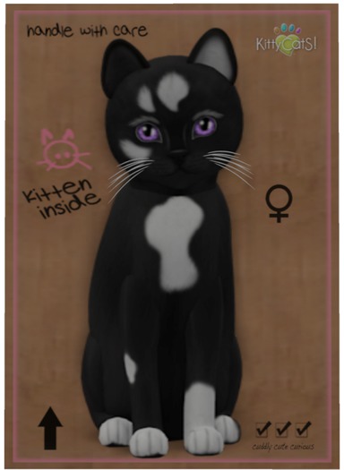 KittyCatS Box - Genesis - Domino V - Toy