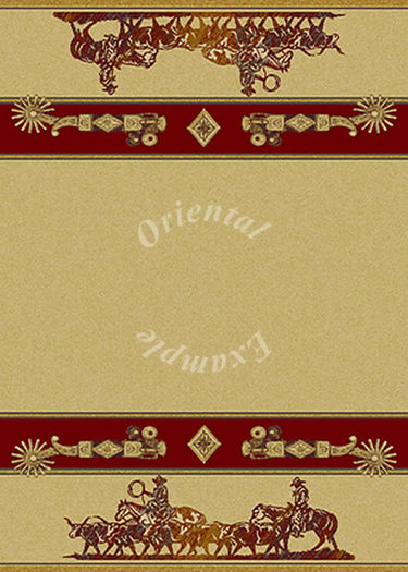 DC Western rug 21  