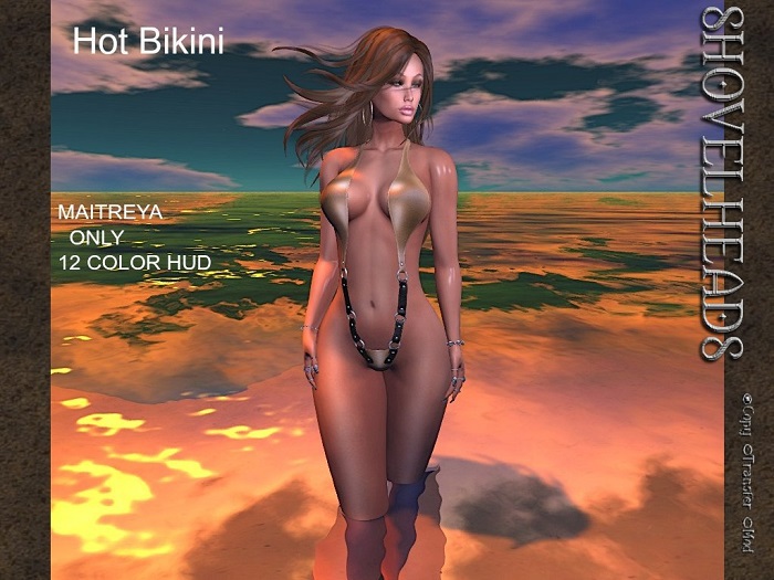 :*:ShOvElHeAdS:*: Hot Bikini*