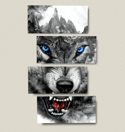 Mountain Wolf