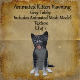 Bad Katz Animated Yawning Kitten Grey Tabby