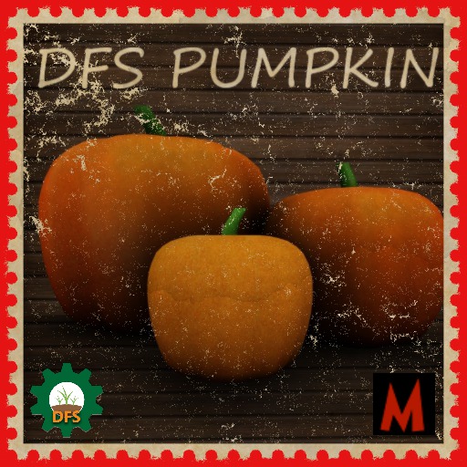 DFS Pumpkin