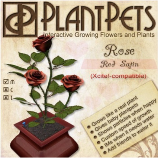 PlantPet Seed [Rose *Red Satin*]