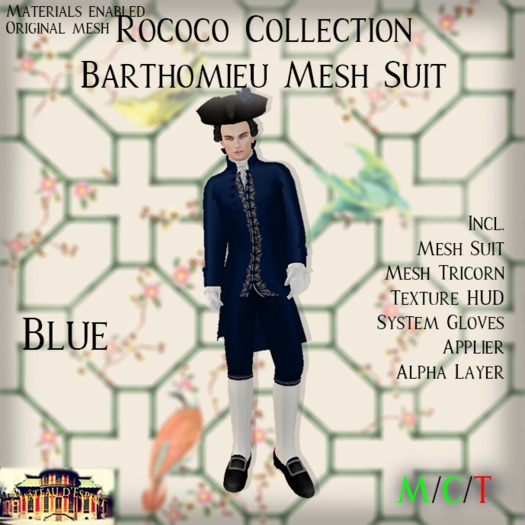 ~CdE~ Rococo Barthomieu BLUE Mesh Suit