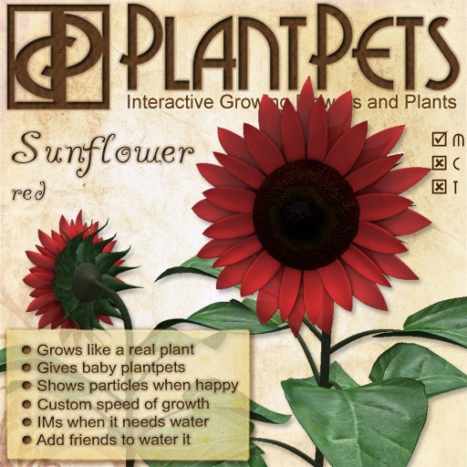 PlantPet Seed [Sunflower *Red*]