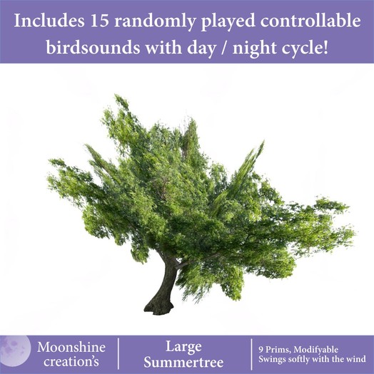 Large Summer Tree