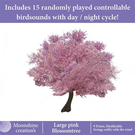 Large Pink blossomtree