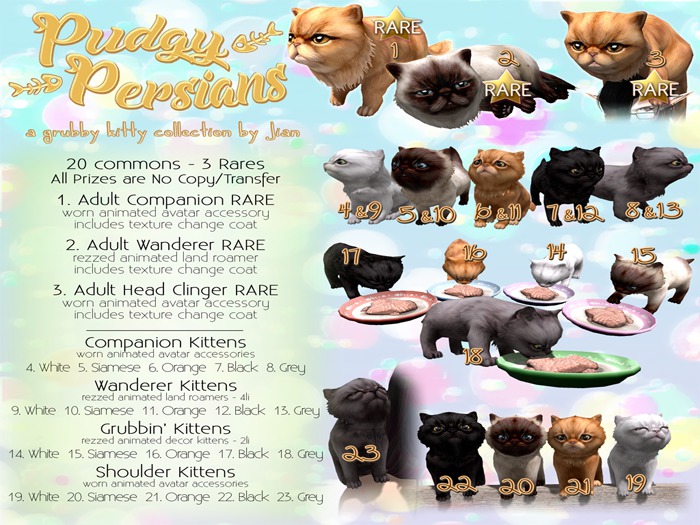 :Blackberry: JIAN Pudgy Persians BOX 11. Orange Wander Kitten