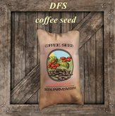 coffee seed