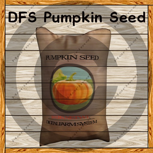 DFS Pumpkin Seed TEXTURE