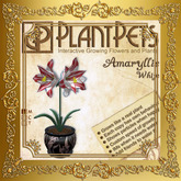PlantPet Seed [Amaryllis *Small White*]