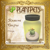 PlantPet Seed [Rosacea Cactus *Orange*]