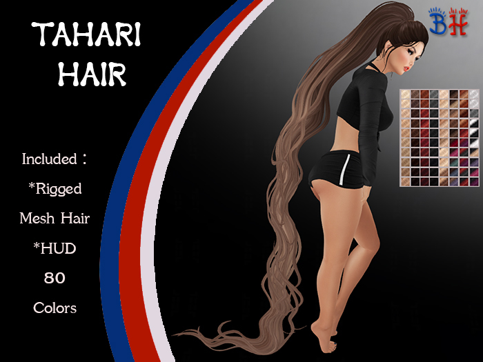 *BH* Tahari Rigged Mesh Hair w/Mixed Colors_HUD