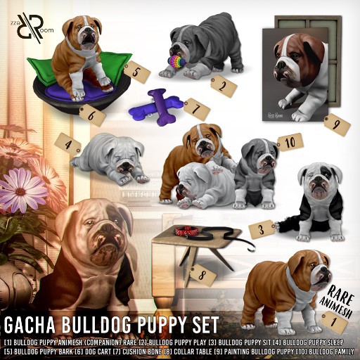 [Rezz Room] Box Cushion Bone