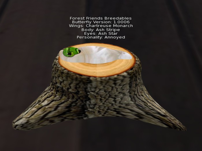 FF Butterfly Cocoon