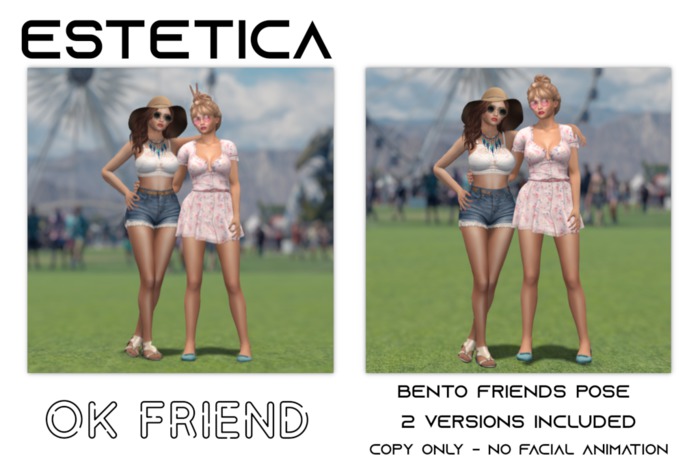 estetica: OK friend - 2 person bento poses