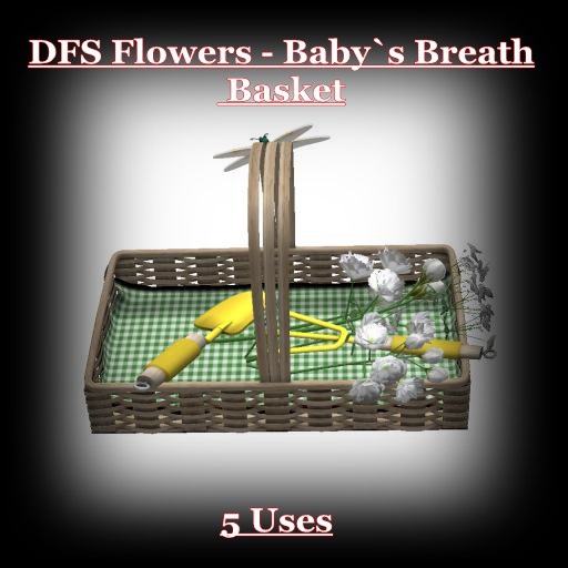 DFS Texture - DFS Flowers - Baby`s Breath Basket 5