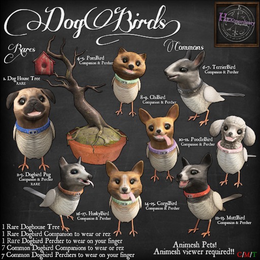 3. *HEXtraordinary* Dogbirds - PugBird Percher - RARE