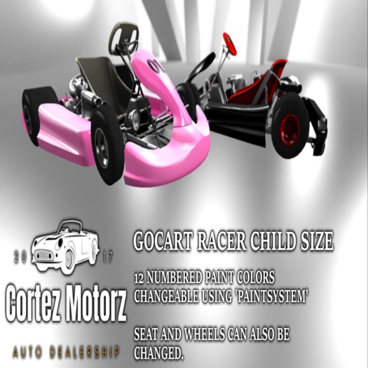 ::CTM:: GoCart Racer Child size Container