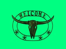 Western Art HOME DECOR Metal Longhorn Skull & Star WELCOME Farm, Ranch & Country Design 3D Wall Decal Style on 1prim c/m