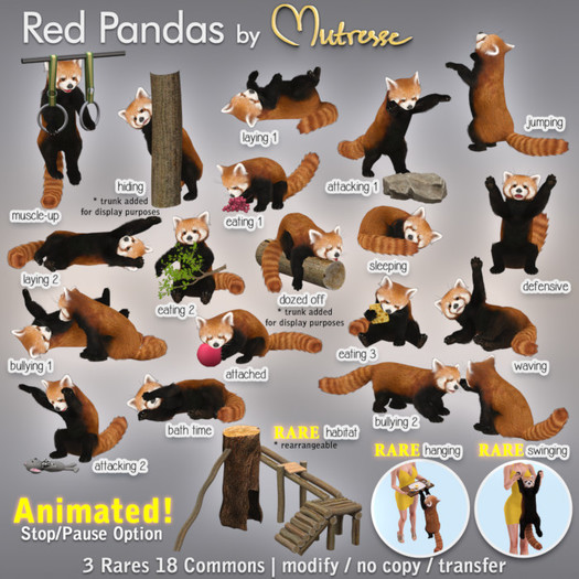 Mutresse - Habitat - Red Pandas RARE