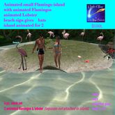 small animated Flamingo Island- Crate