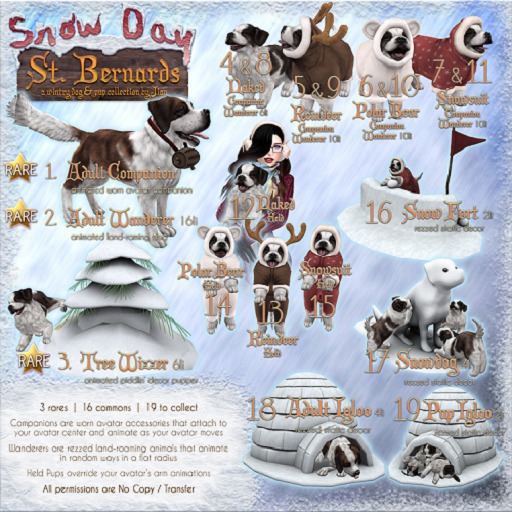 JIAN Snowday St.Bernards 2. Adult Wanderer  RARE 
